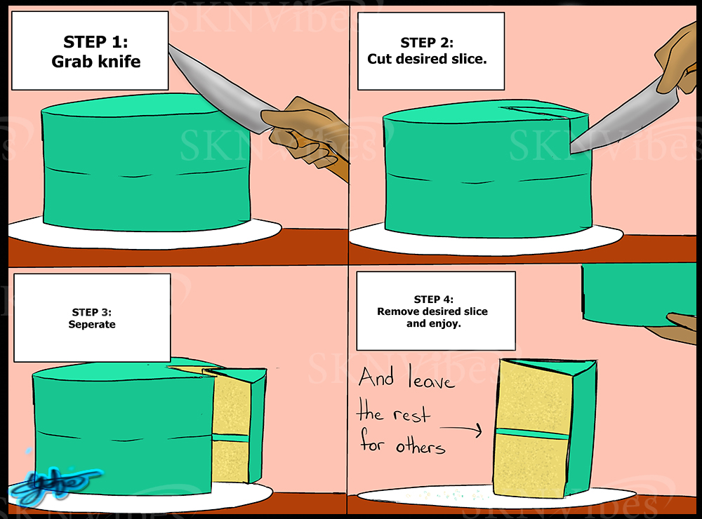 SKNVibes Toon Center How To Eat Cake Details